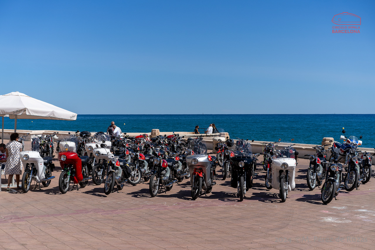 esbirrada_2024_s_pol_205