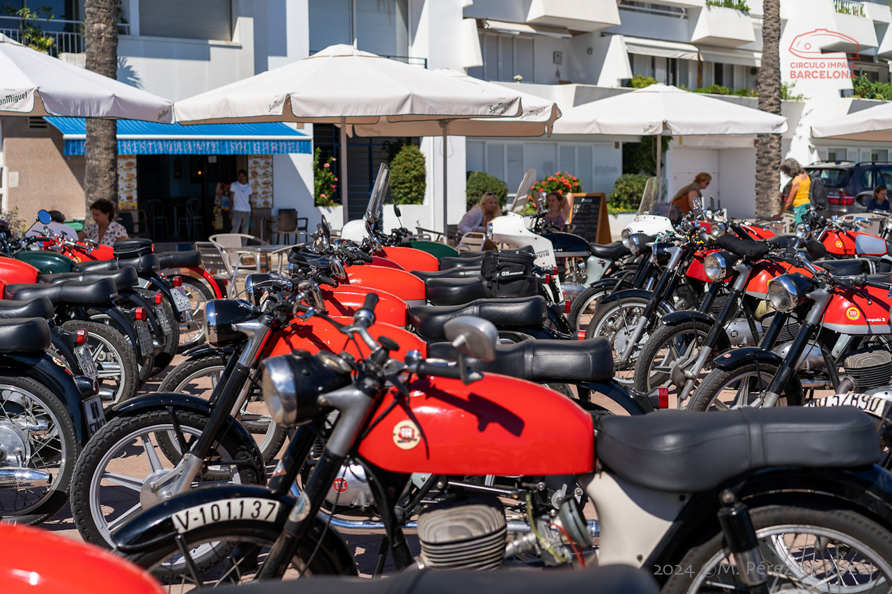 esbirrada_2024_s_pol_221