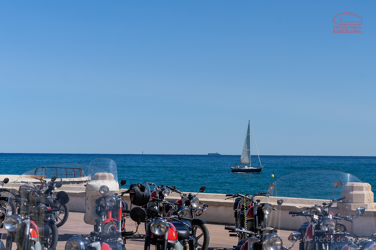 esbirrada_2024_s_pol_224