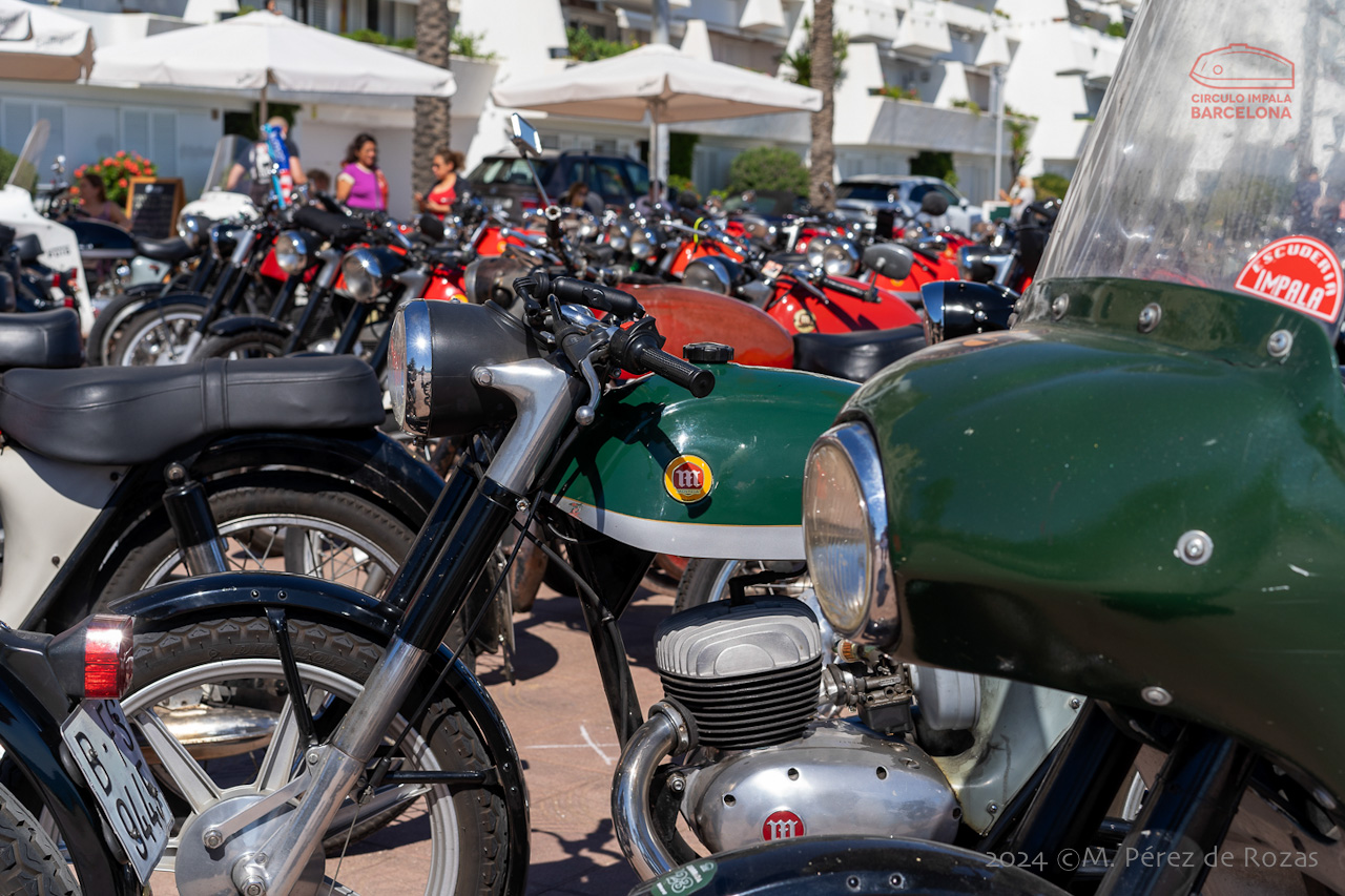 esbirrada_2024_s_pol_233