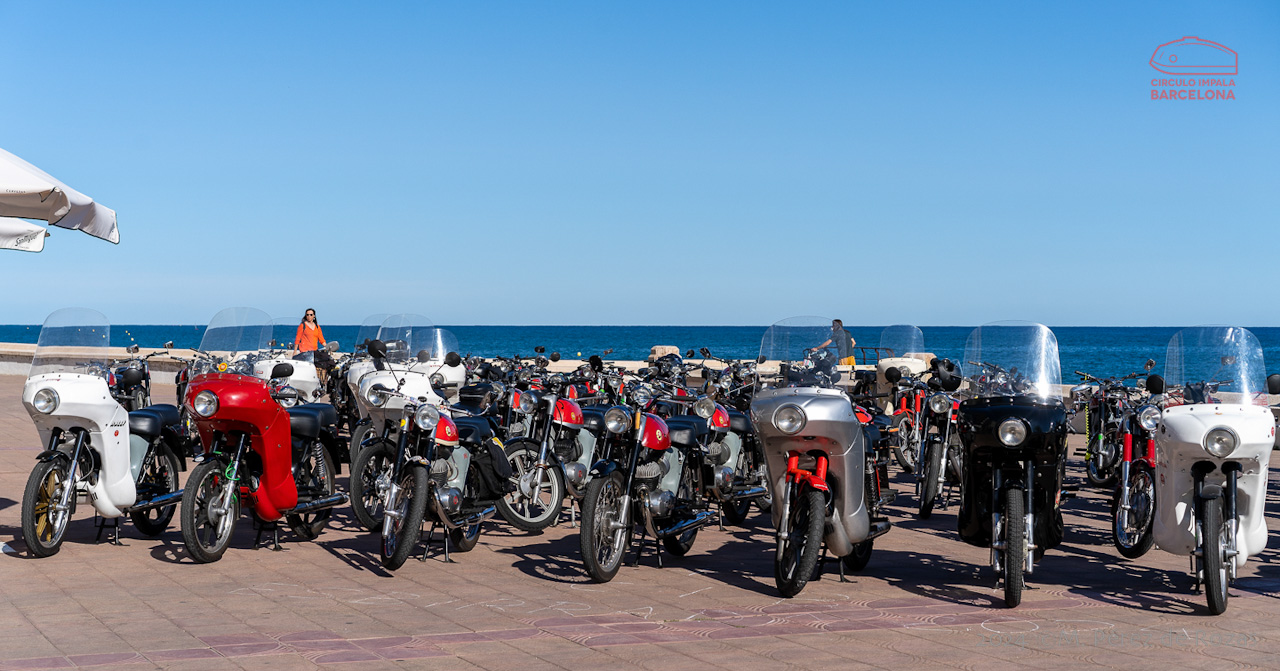 esbirrada_2024_s_pol_238
