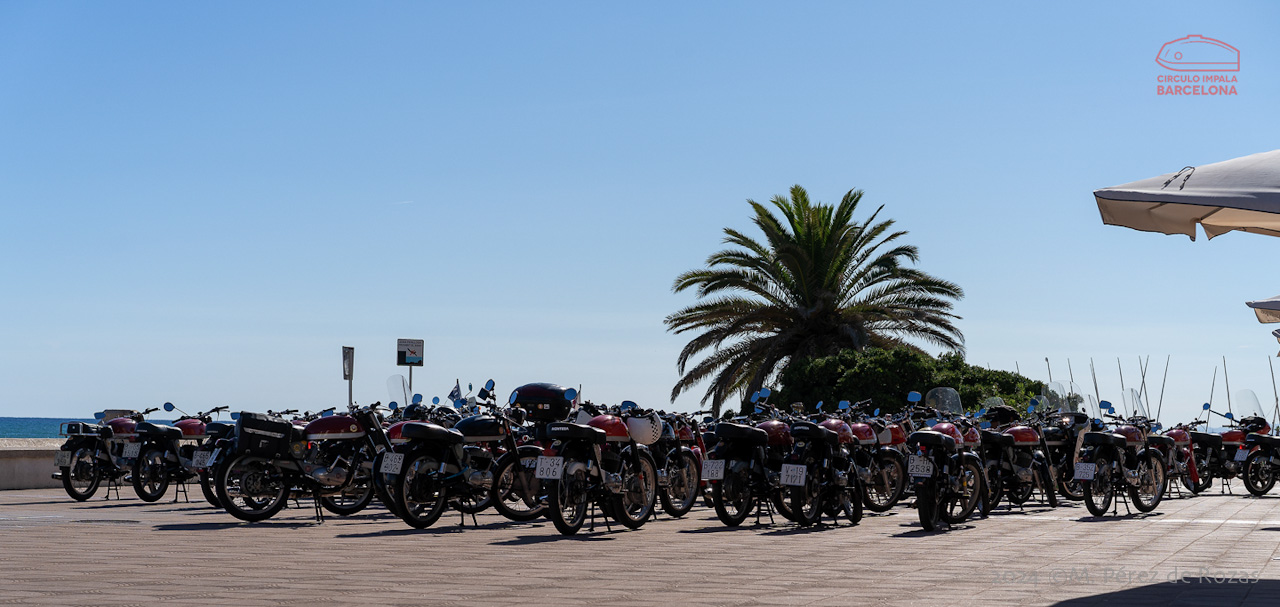 esbirrada_2024_s_pol_242