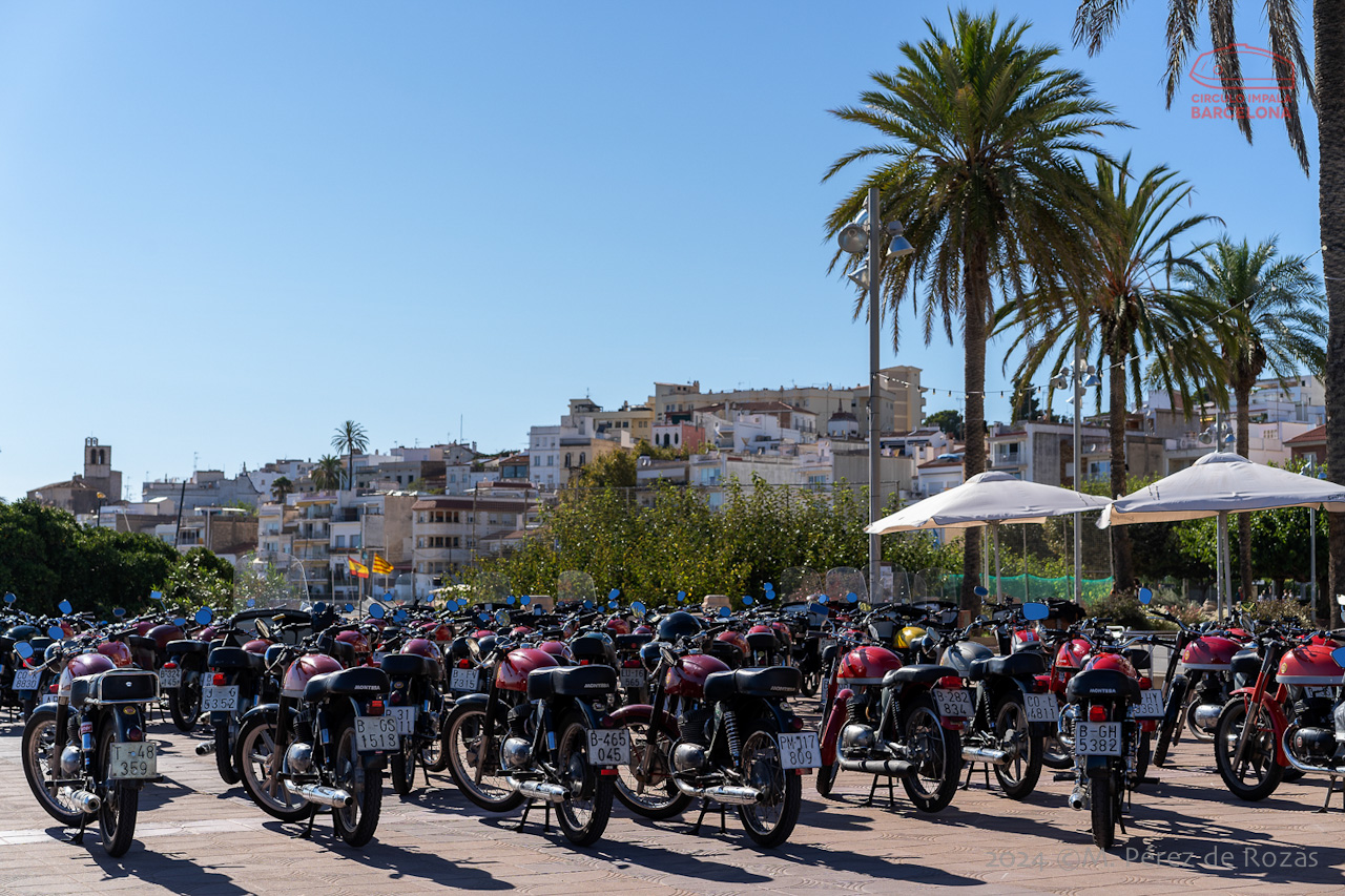 esbirrada_2024_s_pol_244