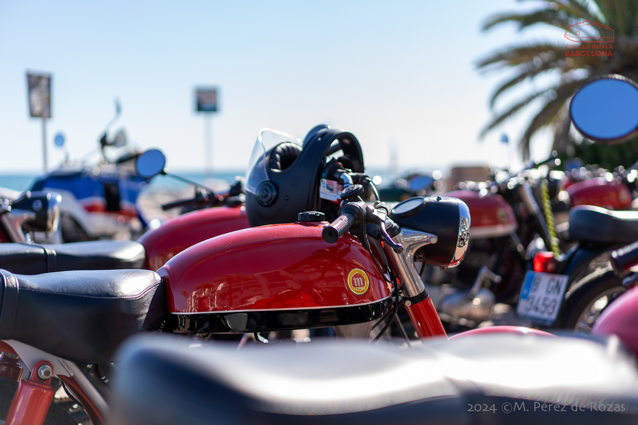 esbirrada_2024_s_pol_245