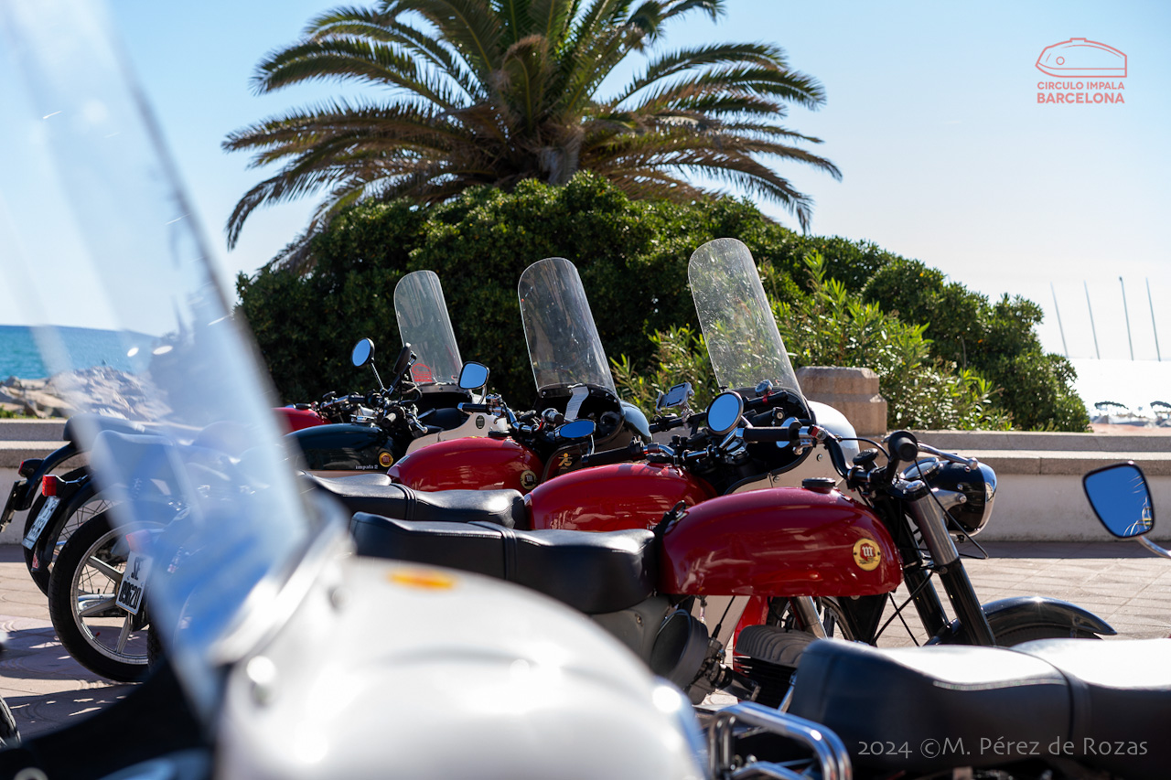esbirrada_2024_s_pol_247
