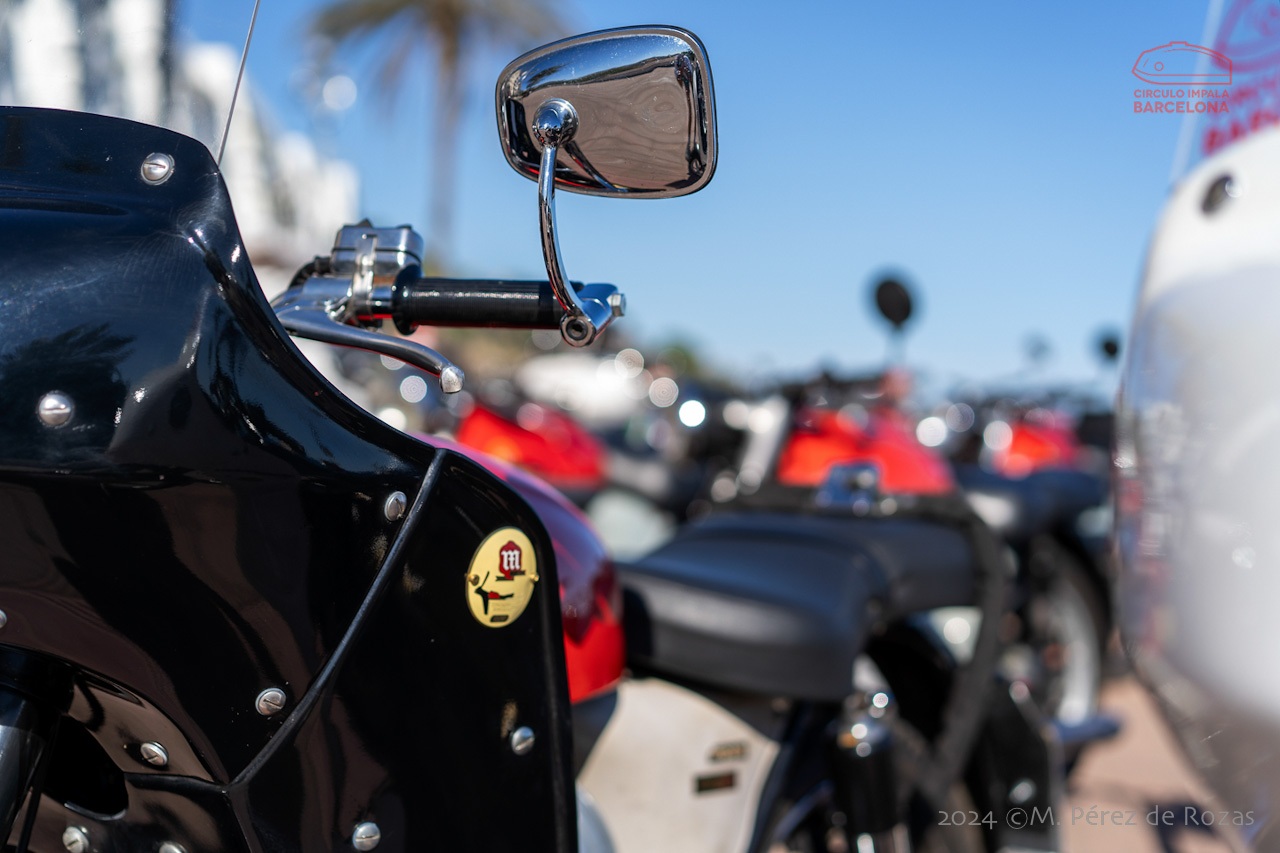 esbirrada_2024_s_pol_249