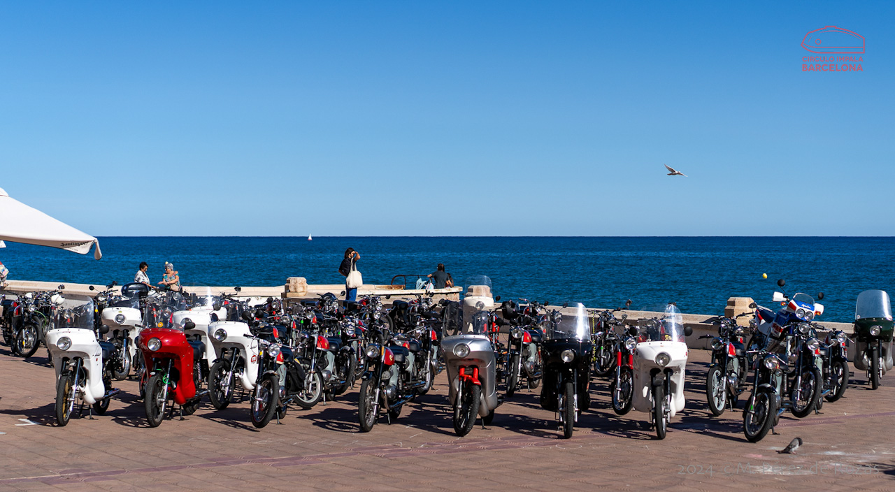 esbirrada_2024_s_pol_250