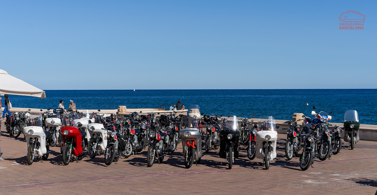 esbirrada_2024_s_pol_251