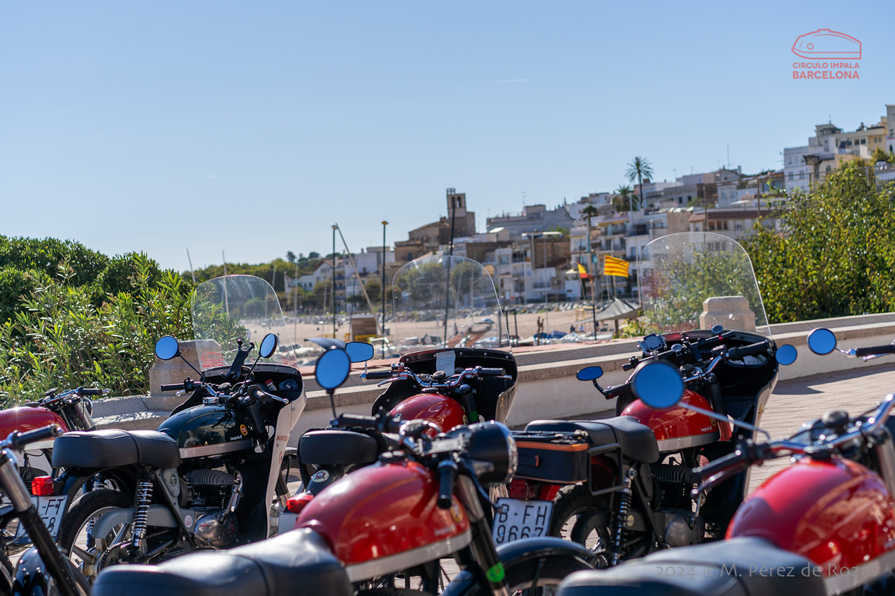 esbirrada_2024_s_pol_254