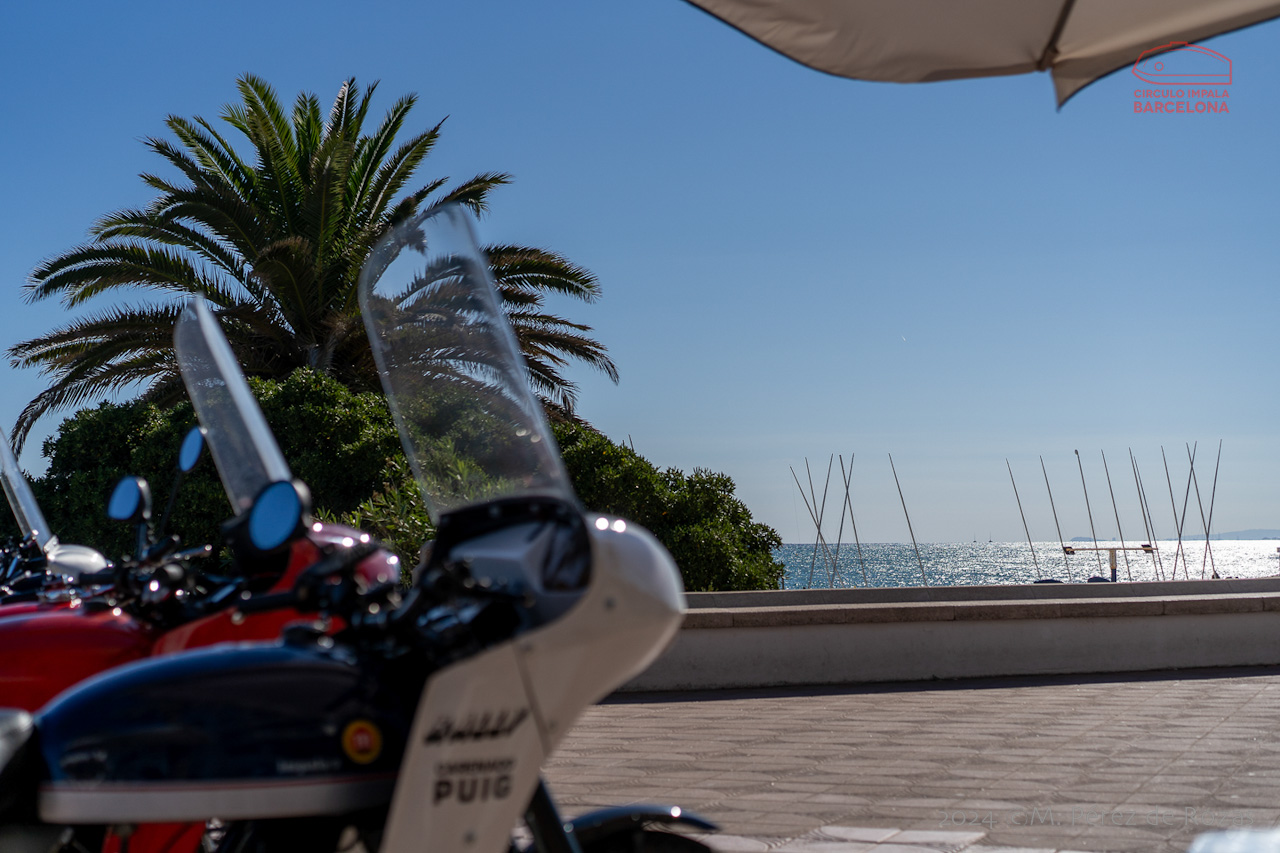 esbirrada_2024_s_pol_256