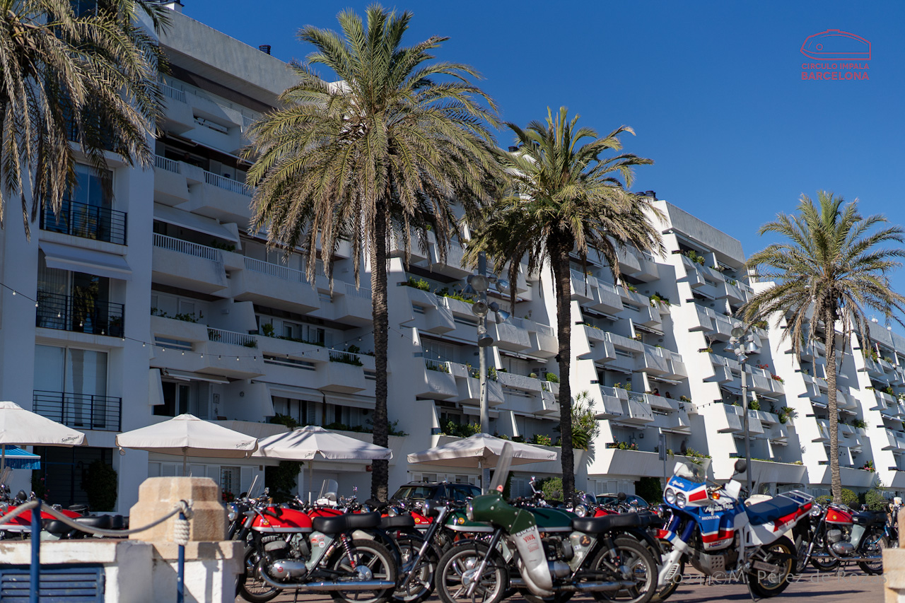 esbirrada_2024_s_pol_259