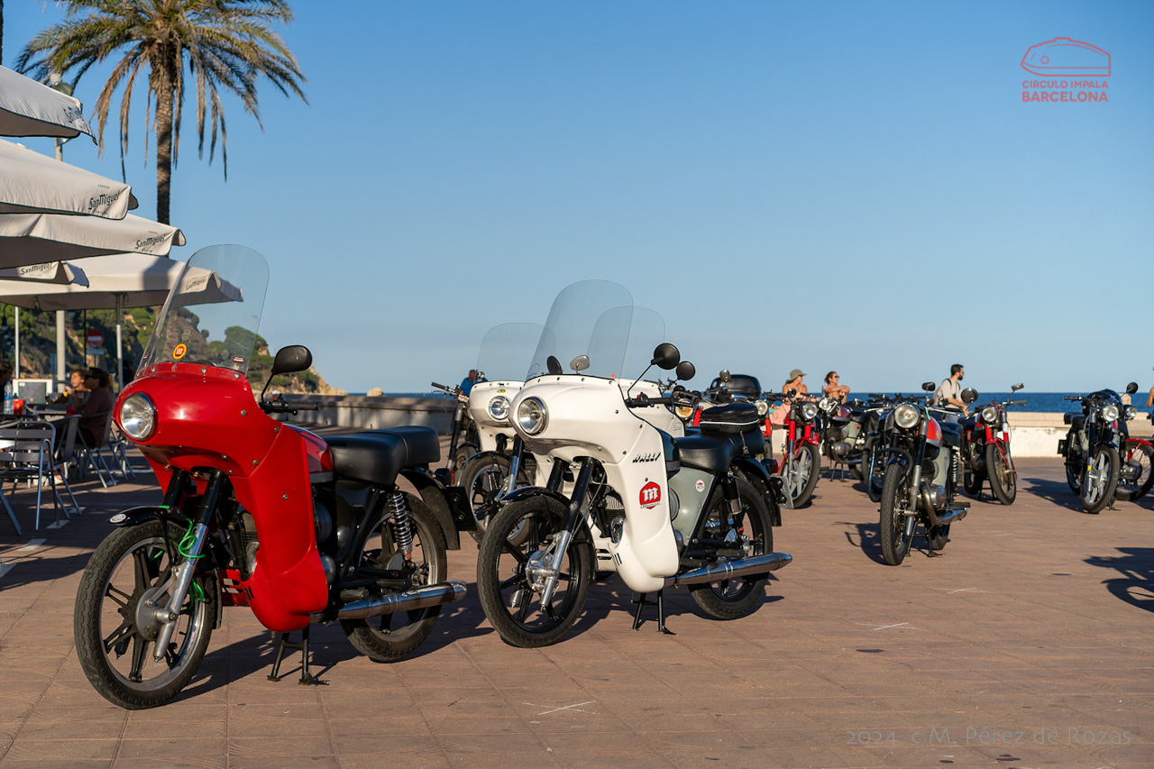 esbirrada_2024_s_pol_274